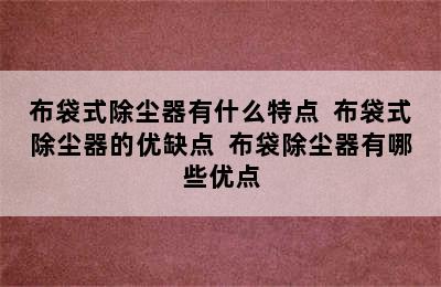 布袋式除尘器有什么特点  布袋式除尘器的优缺点  布袋除尘器有哪些优点